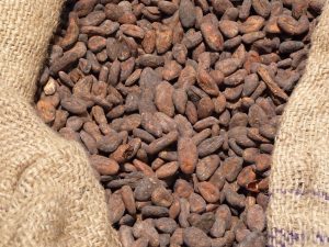 fèves de cacao costaricain